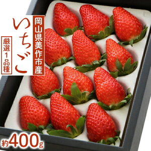 yӂ邳Ɣ[ŁzRsY@I1i킢(400g)yzsnFEkCEꌧzy1073696z