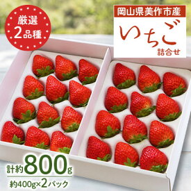 【ふるさと納税】岡山県美作市産　厳選2品種いちご詰合せ(約400g×2パック)【配送不可地域：離島・北海道・沖縄県】【1073697】