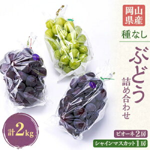 yӂ邳Ɣ[Łz2026Ns\@RŶԂǂlߍ킹2kg(VC}XJbg1[ƃsI[l2[)yzsnFzy1112964z