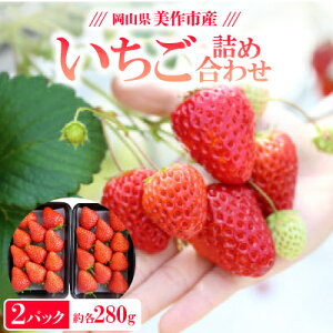 【ふるさと納税】岡山県美作市産 いちご詰合せ(約280g×2パック)【配送不可地域:離島・北海道・沖縄県】【1130056】