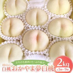 【ふるさと納税】【先行予約・2026年8月上旬より発送予定】岡山の白桃・おかやま夢白桃(2kg箱)【配送不可地域:離島】【1294298】