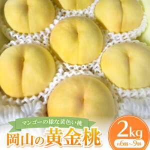 【ふるさと納税】【先行予約・2026年8月上旬より発送予定】岡山県産・マンゴーの様な黄色い桃・黄金桃(2kg箱)【配送不可地域:離島】【1294300】