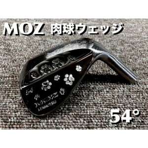 yӂ邳Ɣ[ŁzMOZ EFbW 54° RogubNE~[dグ ([_X W 105)y1503445z