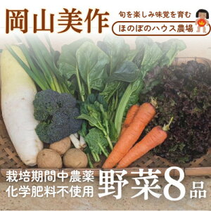 yӂ邳Ɣ[Łzy璼zRY@{yݖoޖؖ8(5kg)yzsnFzy1524200z