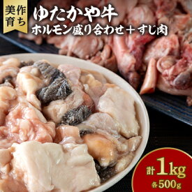 【ふるさと納税】美作育ちの☆ゆたかや牛☆ホルモン盛り合わせ(500g) ・すじ肉(500g) 合計1kg【配送不可地域：離島】【1530933】