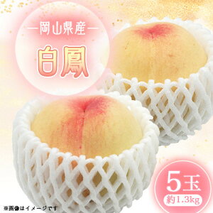 yӂ邳Ɣ[Łz2026Ns\@P@5ʁ@1.3LyzsnFzy1601453z