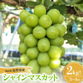 【ふるさと納税】岡山県美作市産 シャインマスカット 2kg【配送不可地域：離島】【1609174】