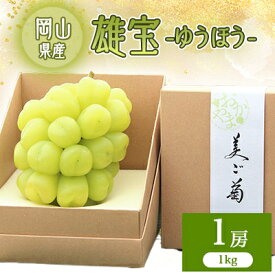 【ふるさと納税】2026年先行予約　雄宝　1房　1キロ【配送不可地域：離島】【1616174】