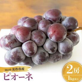 【ふるさと納税】岡山県産ピオーネ 2房【配送不可地域：離島】【1625969】
