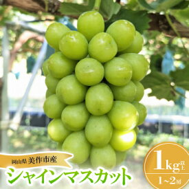 【ふるさと納税】美作市産シャインマスカット1Kg【配送不可地域：離島】【1626496】