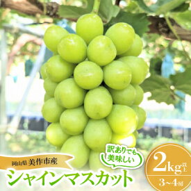 【ふるさと納税】【訳あり】シャインマスカット 2Kg【配送不可地域：離島】【1631232】