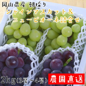 yӂ邳Ɣ[ŁẑVC}XJbg&j[sI[l@v2kgyzsnFEkCEꌧzy1632467z