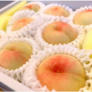 yӂ邳Ɣ[Łzys\2026N7{菇\zRY@P(2kg)yzsnFEkCEꌧzy1667406z