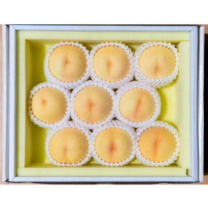 yӂ邳Ɣ[Łzys\2026N7{菇\zRY@(2kg)yzsnFEkCEꌧzy1667419z