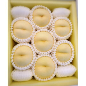 yӂ邳Ɣ[Łzys\2026N8{菇\zRY@c(2kg)yzsnFEkCEꌧzy1667456z