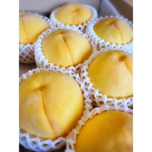 yӂ邳Ɣ[Łzys\2026N9{菇\zRY@(2kg)yzsnFEkCEꌧzy1667464z