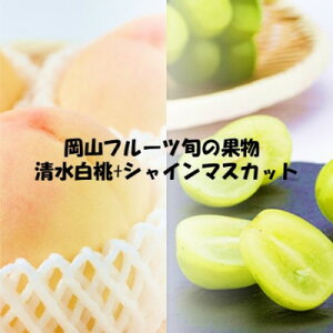 yӂ邳Ɣ[ŁzyŒցz 2026Ns\@Rt[c{̉ʕ +VC}XJbgS2yzsnFzy4069071z