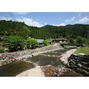 yӂ邳Ɣ[Łzkނ̌yt@~[ꌔzy1672833z