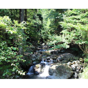 yӂ邳Ɣ[Łzkނ̌yl1ꌔzy1672835z