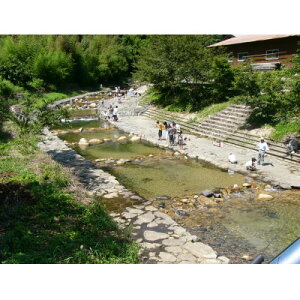 yӂ邳Ɣ[Łzkނ̌ylO[vꌔzy1672839z