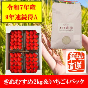 【ふるさと納税】【令和7年産】新米・精米 きぬむすめ2kg&いちご詰合せ(約280g×4パック)【配送不可地域:離島・北海道・沖縄県】【1676470】