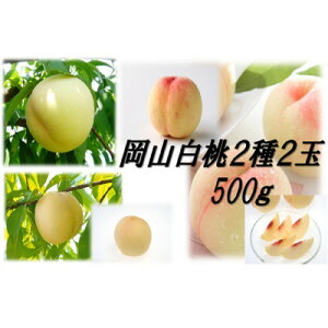 yӂ邳Ɣ[ŁzRHהׁ@Ӑ22ʁyzsnFzy1684882z