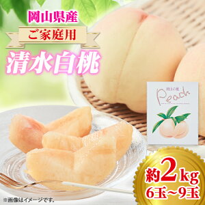 �y�ӂ邳�Ɣ[�Łz2026�N��s�\��@���ƒ�p ���R ��������2kg(6�ʁ`9��)�y�z���s�n��F�����z�y1498678�z