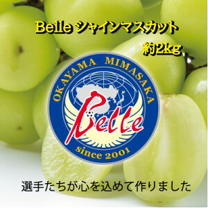 �y�ӂ邳�Ɣ[�Łz���R������s�Y�@Belle�V���C���}�X�J�b�g 2kg(3�[�`5�[)�y�z���s�n��F�����z�y1430610�z