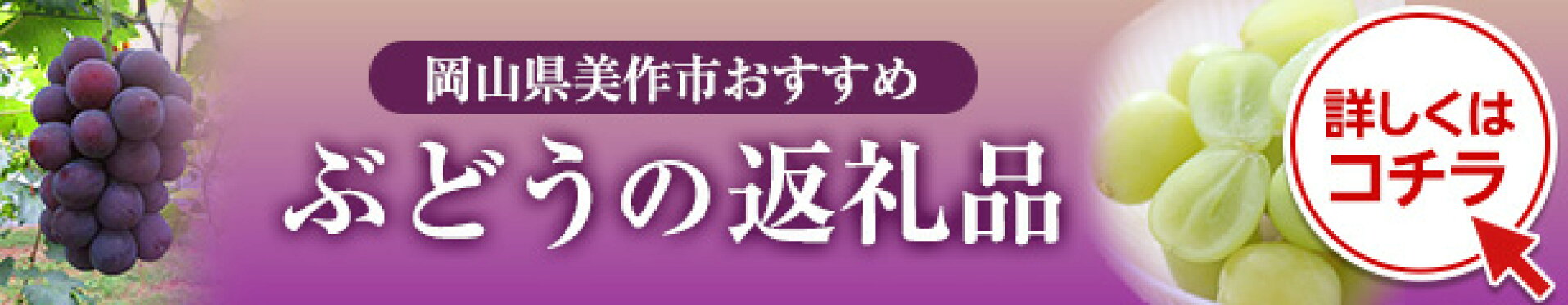 ふるさと納税 ぶどうバナー
