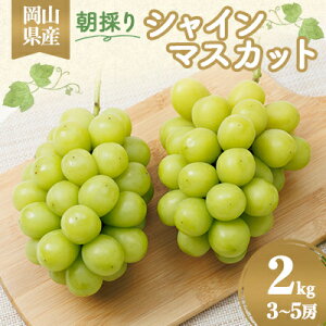 �y�ӂ邳�Ɣ[�Łz�y2026�N��s�\��z���R���Y�@���̂�V���C���}�X�J�b�g�@2kg�y�z���s�n��F�����z�y1073053�z