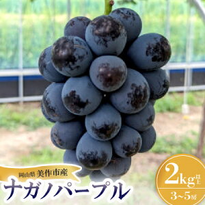 yӂ邳Ɣ[Łzy2026Ns\ziKmp[v@2kg(3[`5[)yzsnFzy1492741z