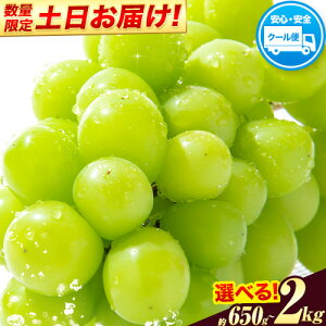 yӂ邳Ɣ[Łzy2025Nxs\zVC}XJbg I 󂠂VC}XJbg Iׂ  1.3kg or 2kg or 650gs2025N9{-11{ɏoח\(yj)t}XJbg 