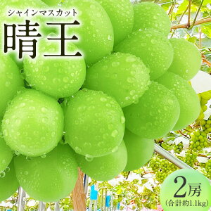 �y�ӂ邳�Ɣ[�Łz[2025�N��s�\��]�V���C���}�X�J�b�g ���� 2�[(��1.1kg)�s9����{-10����{���o��(�y���j����)�t �c���� �}�X�J�b�g �������� ���R�� ����s �V���C���}�X�J�b�g �Ԃǂ� �t��