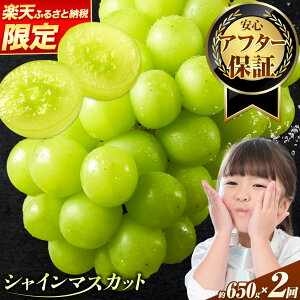 yӂ邳Ɣ[ŁzyyVzyAt^[ۏؕtzI ƒp VC}XJbg Iׂe 650g~2kg or 1.3kg×2ցys\zs9{-11{ɏoׁt}XJbg  