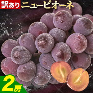 yӂ邳Ɣ[Łzys\zԂǂ j[sI[l 󂠂 j[sI[l 1.2kg 2[ Ԃǂ uhE  ʕ H{ 󂠂 Di Io t[c fU[g R ss2025N9{