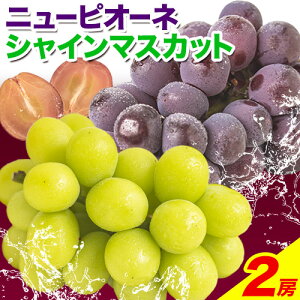 yӂ邳Ɣ[Łzys\zVC}XJbg j[sI[l 󂠂 VC}XJbgEj[sI[l lߍ킹 1.2kg 2[s2025N9{-11{蔭\tR 