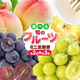 【ふるさと納税】岡山 の フルーツ 定期便 《2026年7月上旬-1月末頃出荷》ふるさと納税 フルーツ 定期便 おすすめ ふるさと納税 フルーツ 人気 ふるさと納税 フルーツ 定期便 2回 桃 シャインマスカット ピオーネ 梨 岡山 フルーツ セット
