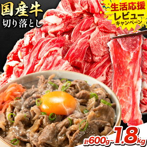【ふるさと納税】【生活応援企画 実施中!】牛肉 肉 国産牛 切り落とし ホルスタイン 大容量 小分け 600g〜1.8kg 1パック 300g 定期便 3ヶ月 6ヶ月 12ヶ月《出荷時期をお選びください》岡山県産