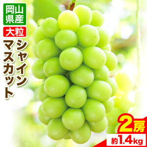 yӂ邳Ɣ[Łzys\z嗱 VC}XJbg RY VC}XJbg 2[(1.4kg)s9-10{oׁterƂ ① ʕ uhE  R s