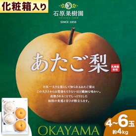 【ふるさと納税】【2024年先行予約】梨 あたご梨 4 ～ 6玉 計4kg 化粧箱 石原果樹園 《2024年11月下旬-12月下旬頃より発送予定》岡山県 浅口市 フルーツ 果物 ギフト 贈り物 国産 岡山県産 送料無料