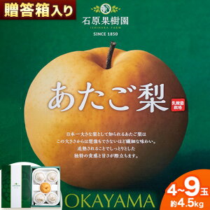 yӂ邳Ɣ[Łzy2025Ns\z  4  9 v4.5kg  Όʎ s2025N11{-1{蔭\tR s t[c ʕ Mtg 蕨 Y RY 
