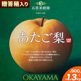 【ふるさと納税】梨 あたご梨 1玉 選べる 約900g 約1.1kg 約1.2kg 約1.3kg 贈答箱入り 石原果樹園《2026年11月中旬-12月下旬頃出荷》岡山県 浅口市 フルーツ 果物 ギフト 贈り物 国産 岡山県産 送料無料