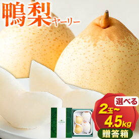【ふるさと納税】【先行予約】梨 なし 鴨梨 ヤーリー 贈答箱 選べる内容量 石原果樹園 《11月中旬-12月下旬頃より発送予定》岡山県 浅口市 果物 フルーツ お取り寄せ お取り寄せフルーツ 送料無料