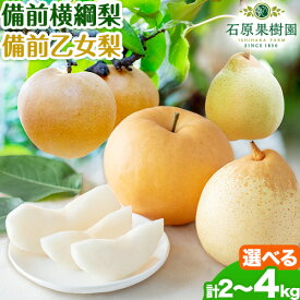 【ふるさと納税】【先行予約】梨 なし 横綱梨 乙女梨 選べる内容量 石原果樹園 フルーツ 果物 新鮮《2026年11月中旬-12月下旬頃より発送予定》岡山県 浅口市 果物 フルーツ 梨 詰め合わせ あたご梨 鴨梨