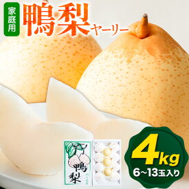 【ふるさと納税】【先行予約】ご家庭用 梨 なし ナシ ヤーリー 鴨梨 備前乙女梨 約4kg 6〜13玉《2026年11月中旬-12月下旬頃より発送予定》石原果樹園 岡山県 浅口市 果物 フルーツ 新鮮