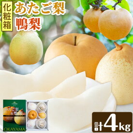 【ふるさと納税】【先行予約】梨 なし 梨 旬 あたご梨 鴨梨 詰め合わせ 計約4kg 化粧箱 石原果樹園 《2026年11月中旬-12月下旬頃より発送予定》岡山県 浅口市 果物 フルーツ 梨 詰め合わせ