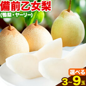 【ふるさと納税】【先行予約】梨 なし 乙女梨 選べる内容量 石原果樹園 《2026年11月中旬-1月上旬頃より発送予定》岡山県 浅口市 果物 フルーツ 梨 鴨梨 備前乙女梨 ヤーリー