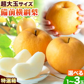 【ふるさと納税】【2026年先行予約】梨 横綱梨 超大玉 選べる内容量 プレミアム箱 石原果樹園 《2026年11月中旬-12月下旬頃より発送予定》岡山県 浅口市 フルーツ 果物 ギフト 贈り物 国産 岡山県産 送料無料