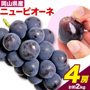 yӂ邳Ɣ[Łzy2025Ns\zj[sI[l 2[ 1kg 4[ 2kg EBYt[z[fBOXs2025N9{-10{oׁtR s Ԃǂ sI[l t[c { ʕ Y 