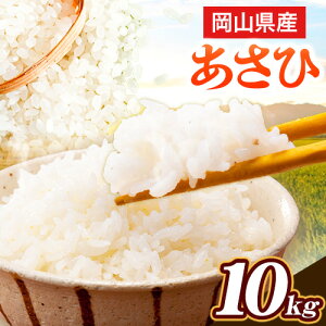 yӂ邳Ɣ[Łzߘa7NY@RY  10kg (5kg×2) S_p[CX R ss30ȓɏoח\(yj)t  